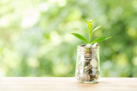 plant-growing-from-coins-glass-jar-blurred-nature