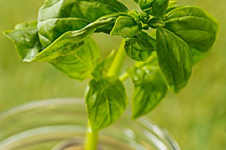 plant-growing-in-coins-glass-jar-for-money-against-green-grass-saving-and-investment-financial