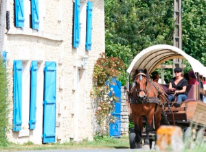 Les roulotte de l'Abbaye 