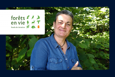 Journée internationale des forêts : rencontre avec Nathalie Naulet de Forêts en vie