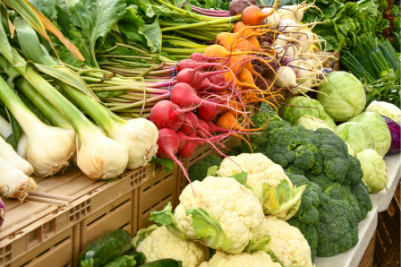 Redressement du marché Bio en France : analyse et perspectives 2025 – Soutien de La Nef